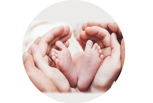 Egg Donation